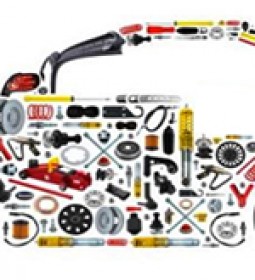 Pologne car