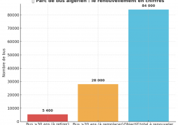 Vers un renouvellement du parc de bus algérien : 5 400 bus de plus de 30 ans  à retirer et remplacer d’ici 6mois